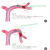 Figure 10.