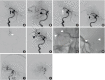 Figure 13.