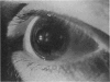 358