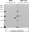 FIG 3