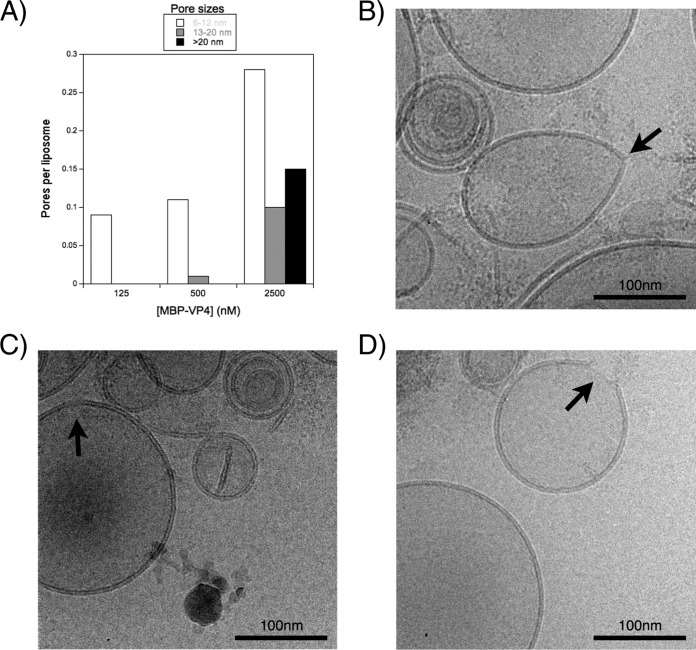 FIG 6