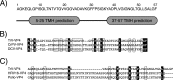 FIG 1
