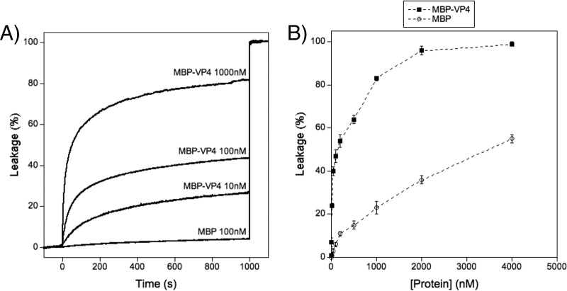 FIG 4