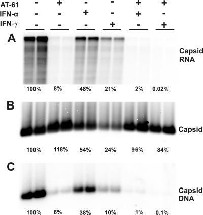 FIG. 6.