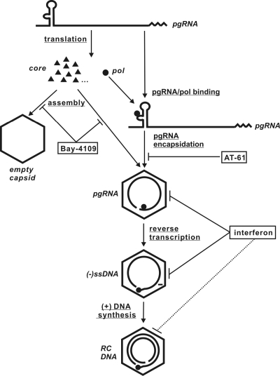 FIG. 9.