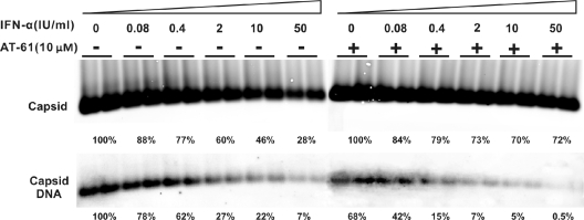 FIG. 7.