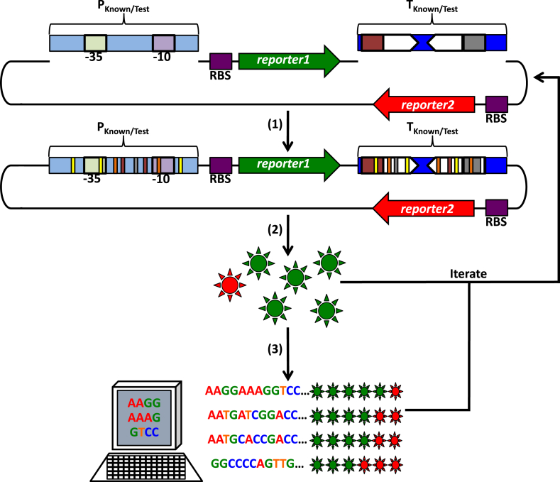 Fig. 3