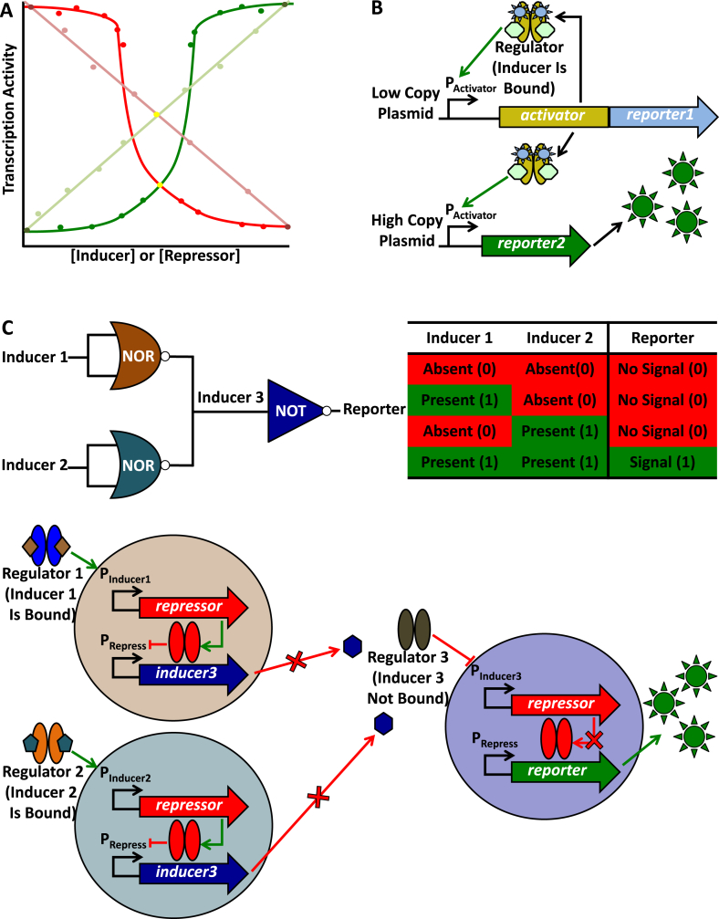 Fig. 4