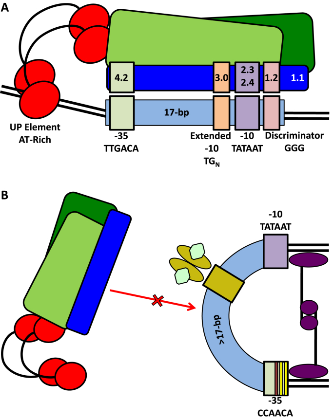 Fig. 2