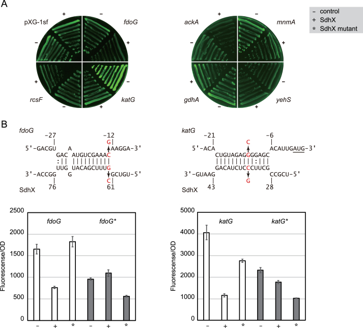 Figure 6.