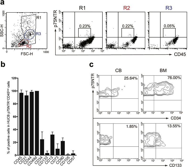 Fig. 2