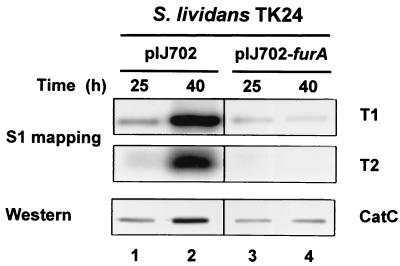 FIG. 6