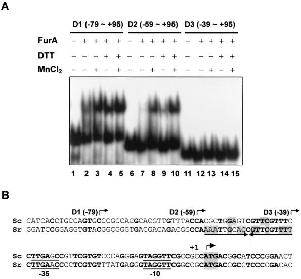 FIG. 7