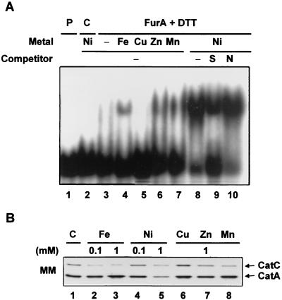 FIG. 8