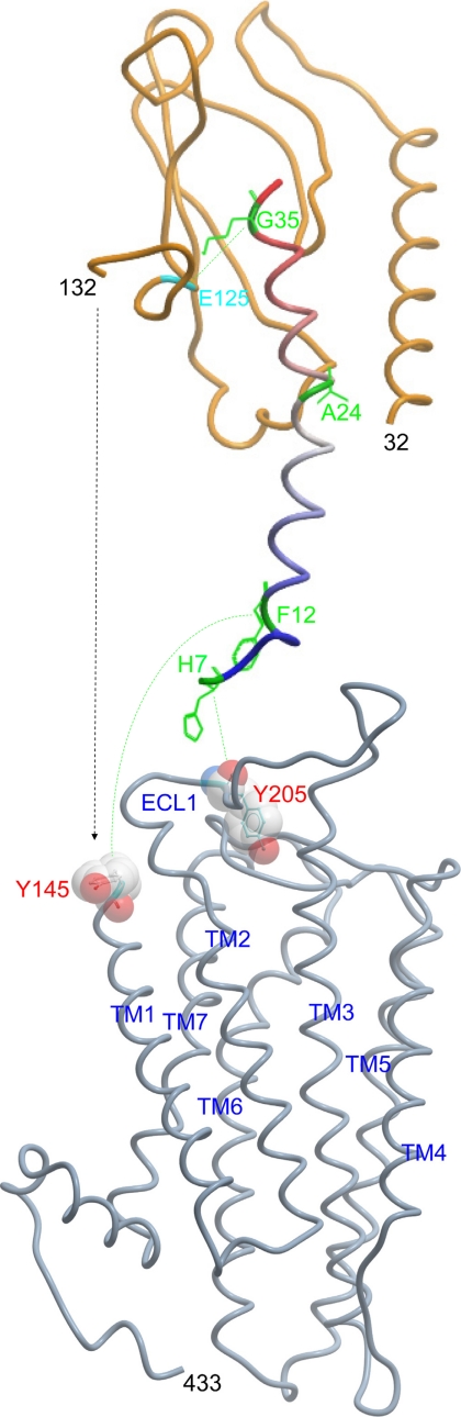 FIGURE 11.