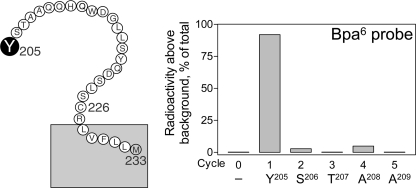 FIGURE 9.