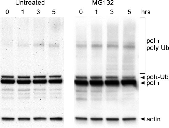 FIGURE 10.