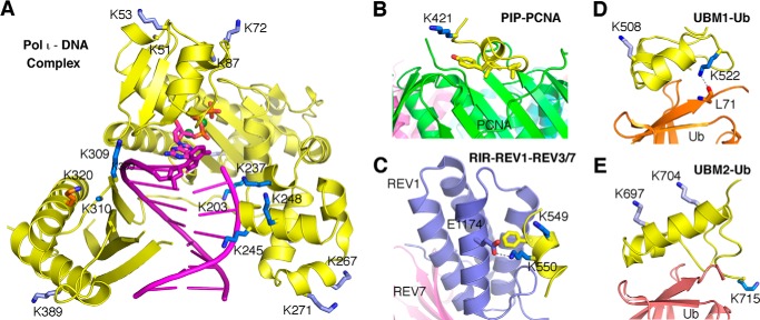 FIGURE 11.