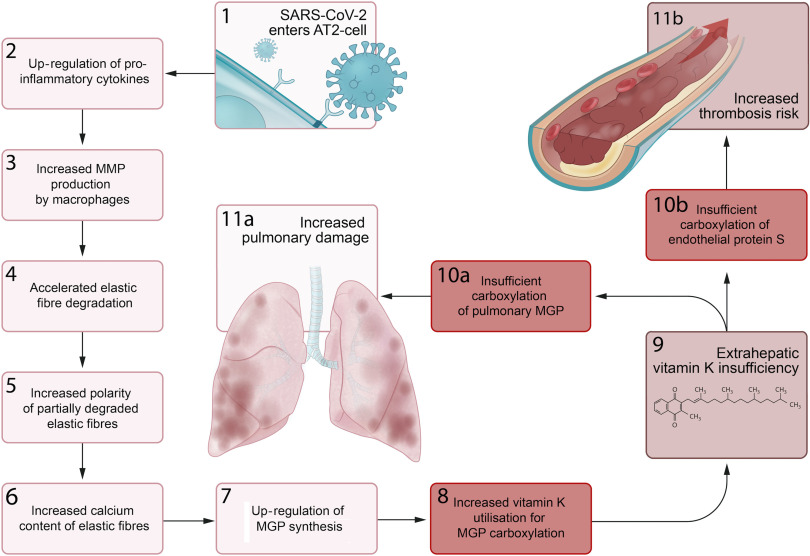 Fig. 3.