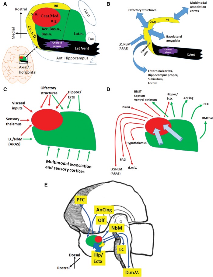 FIGURE 4.