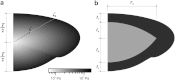 Fig. 7