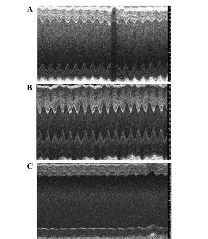 Figure 2.