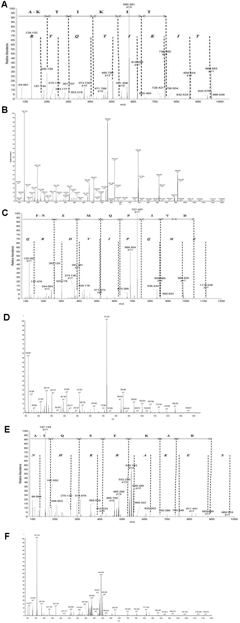 FIGURE 1