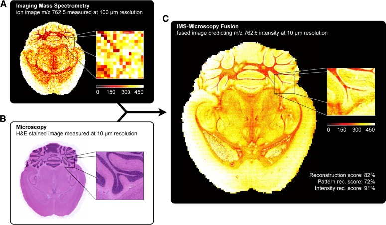 FIGURE 4