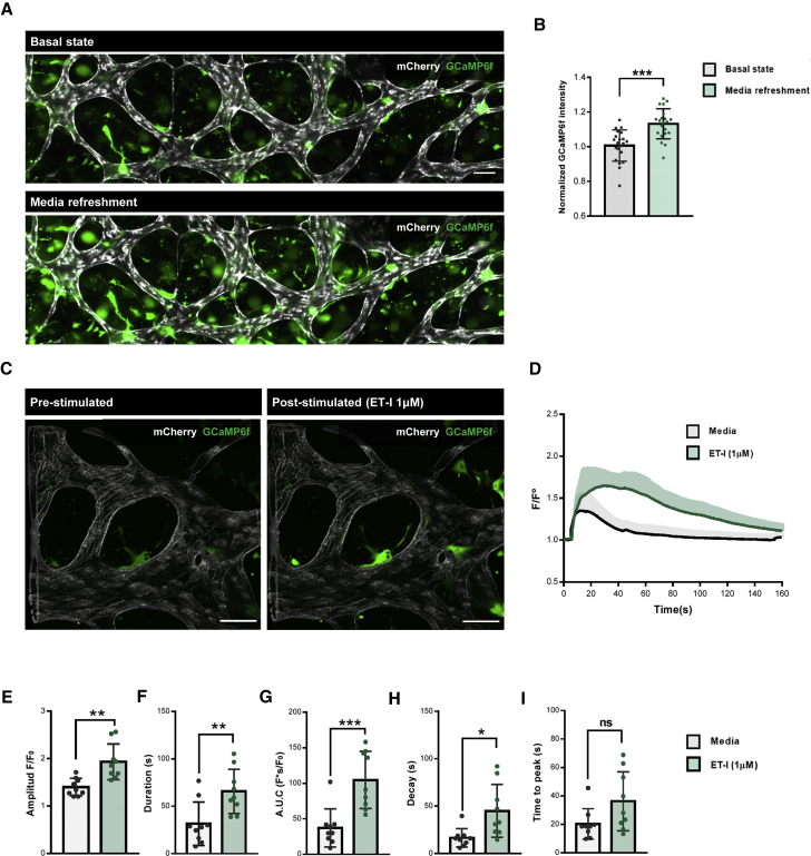 Figure 3