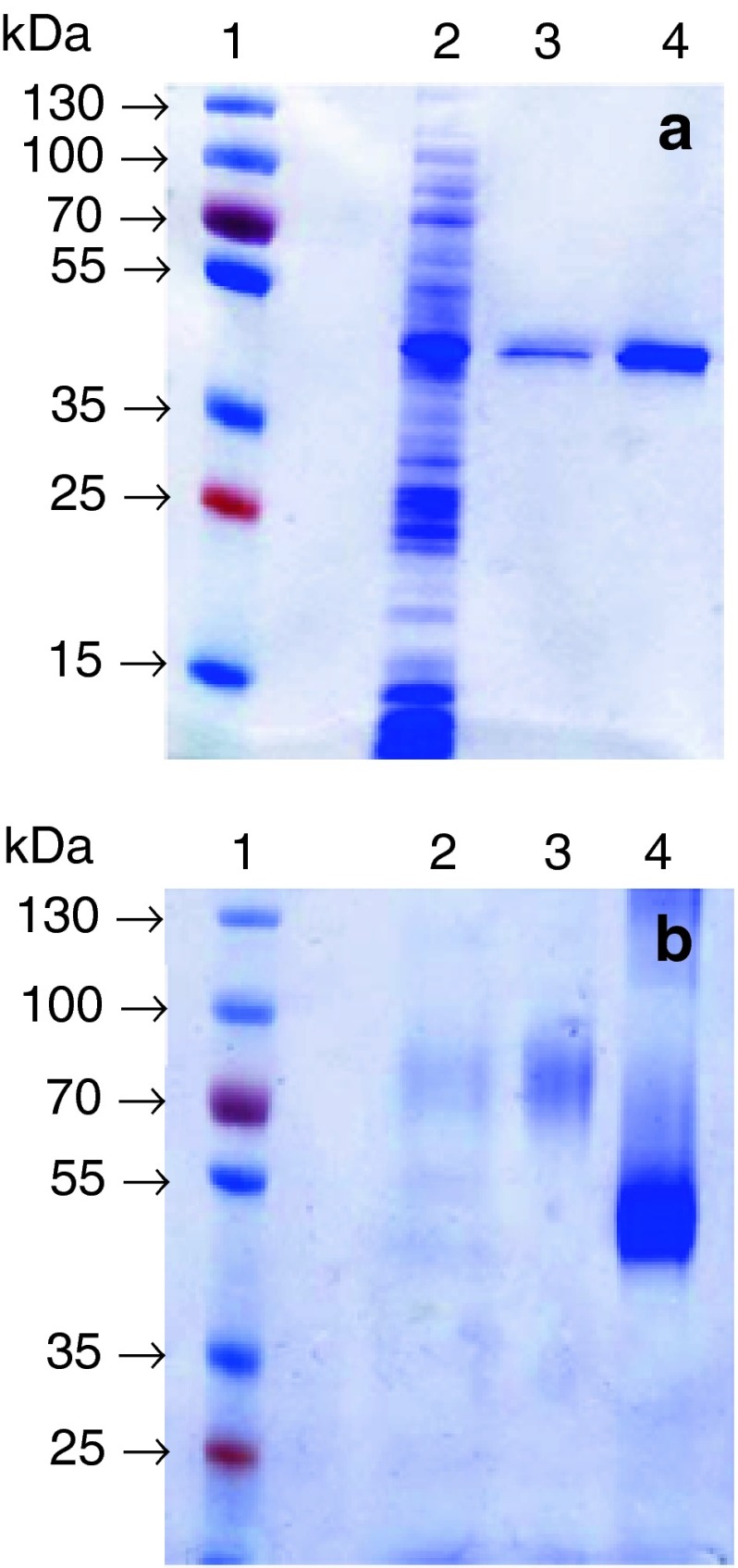 Fig. 3