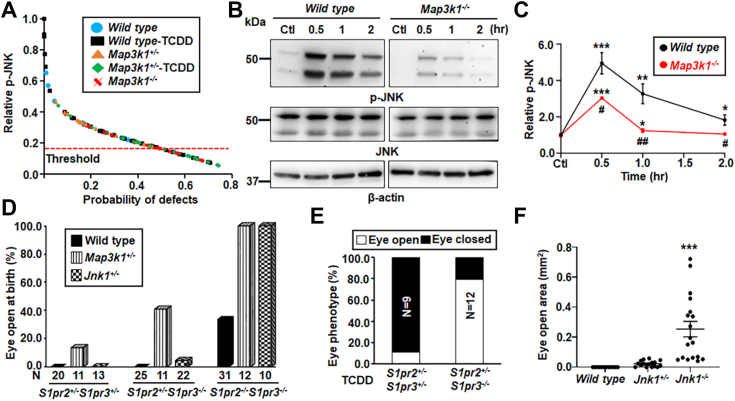 Figure 6