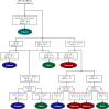 Figure 3—figure supplement 1.