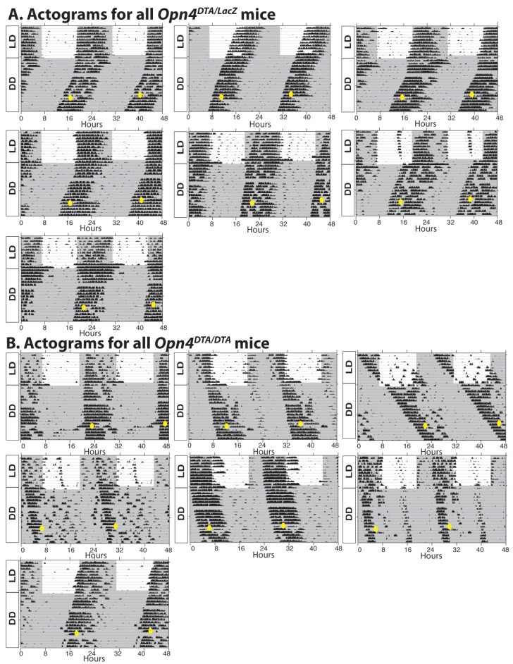 Figure 2—figure supplement 1.