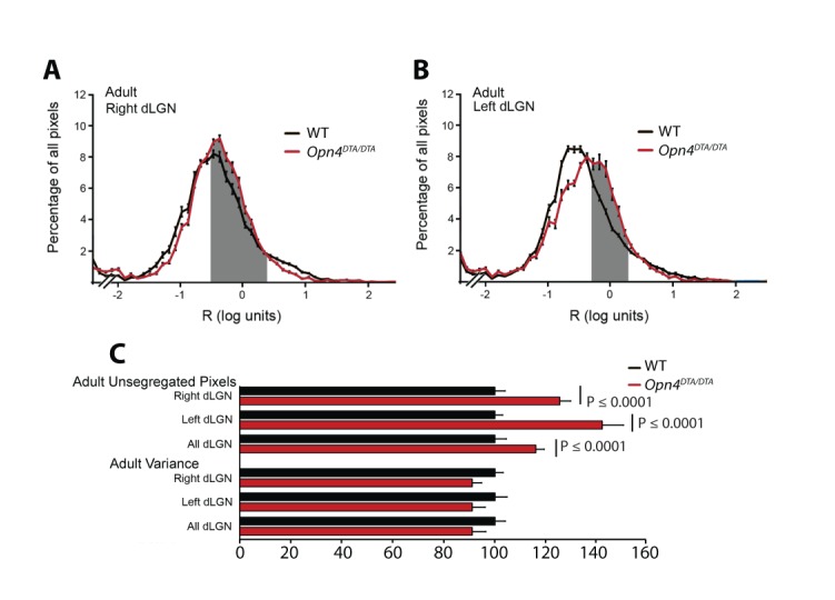 Figure 4—figure supplement 3.