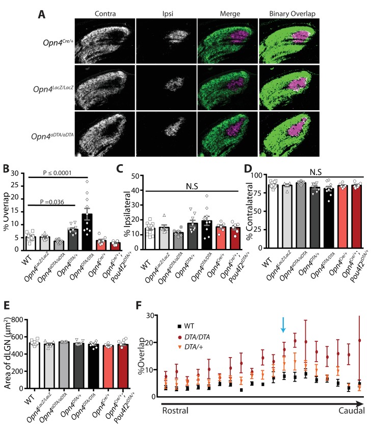 Figure 4—figure supplement 4.