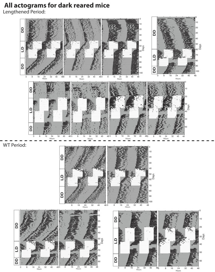 Figure 3—figure supplement 1.