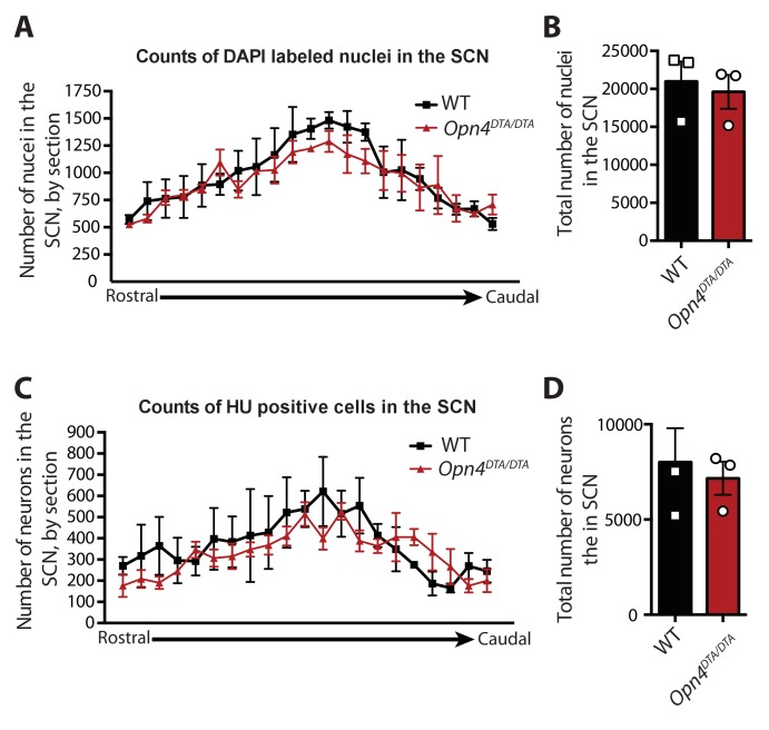 Figure 1—figure supplement 2.