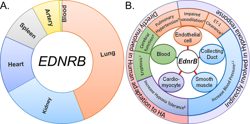 Fig 4: