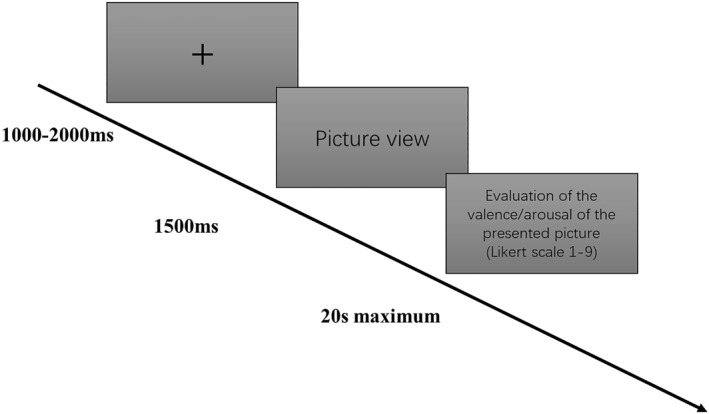 FIGURE 1