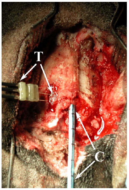 Fig. 8