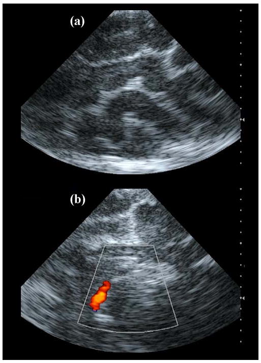 Fig. 9