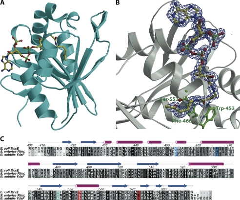 FIGURE 2.