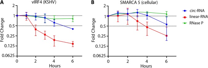 FIG 5