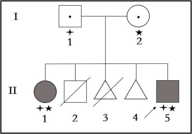 FIGURE 1