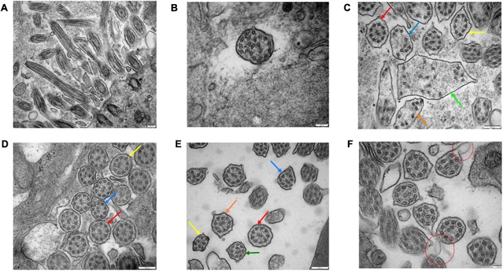 FIGURE 4