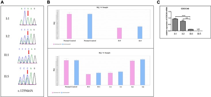 FIGURE 6