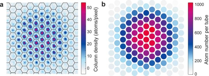 Extended Data Fig. 1