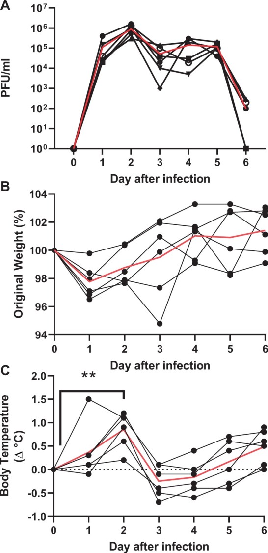 Figure 5: