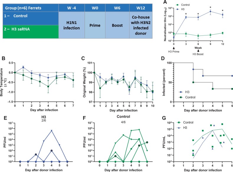 Figure 6: