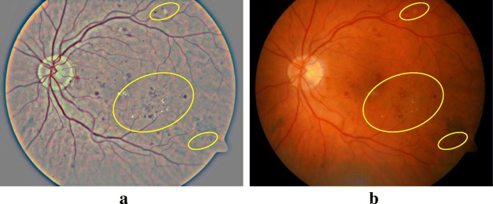 Fig. 3